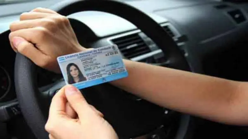 Licencia de conducir: de manera virtual y en tan sólo 20 minutos